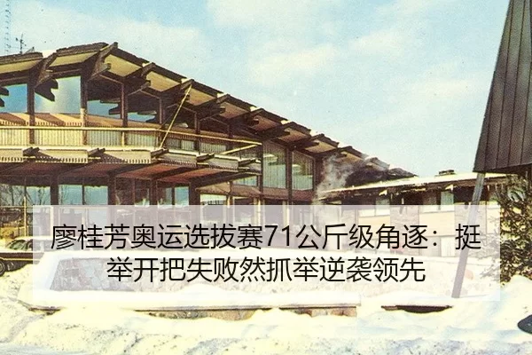 liao-gui-fang-ao-yun-xuan-ba-sai-gong-jin-ji-jue-zhu-ting-ju-kai-ba-shi-bai-ran-zhua-ju-ni-xi-ling-xian-2-989.jpg